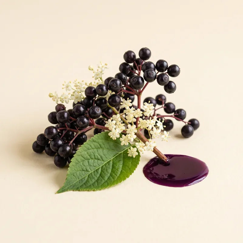 Holunderbeeren